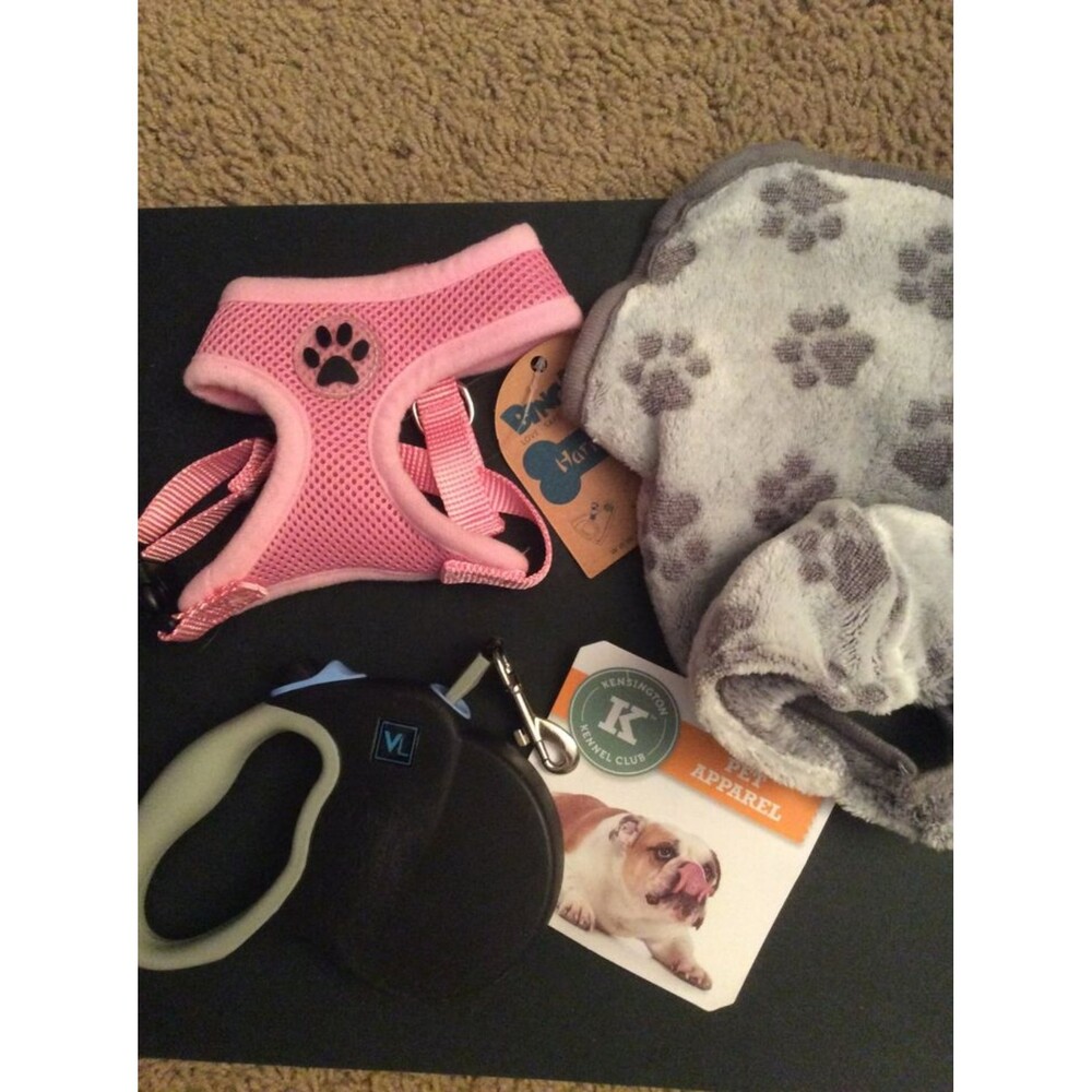 XS Dog Harness, Jacket and Retractable Leash B11